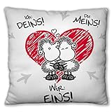 Die Geschenkewelt 45190 Plüsch-Kissen mit Spruch Ich Deins, Du Meins, Wir Eins, 25 cm x 25 cm, Zier-Kissen mit Liebes-Motiv, Rot, Weiß, Schwarz