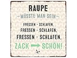 20x20cm METALLSCHILD Türschild RAUPE MÜSSTE MAN SEIN Spruch Lustig Diät Shabby