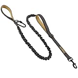 funPETic Hundeleine elastisch – Anbinden möglich, Zwei Griffe, reflektierend, für große und mittelgroße Hunde