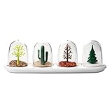 Creative Nature-Gewürzstreuer, aus Kunststoff, für Salz, Pfeffer, Gewürze, 4 Stück im Set m Four Seasons