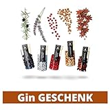 Gin Botanicals natürliche Gin Tonic Gewürze I 5 naturbelassene Gin Aromen I Handliche Gin Kräuter Geschenk-Box I Praktische Gin Gewürze Box als Gintonic Geschenk für Männer