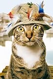 Avanti Karten - Humorkarte Anglerkatze 94-1005