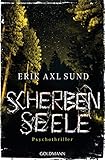 Scherbenseele: Psychothriller
