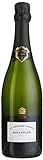 Bollinger Champagne Brut Grande Année 2007 (1 x 0.75 l)