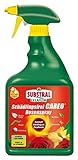 Celaflor Schädlingsfrei Careo Rosenspray, anwendungsfertiges Mittel mit schneller Wirkung gegen Schädlinge an Pflanzen, 750 ml