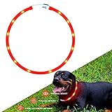 Hunde Leuchthalsband LED Halsband Hundehalsband Hunde, individuell kürzbar, USB aufladbar, Kabel im Lieferumfang enthalten (Rot)