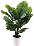 artfleur - künstliche Calathea (Korbmarante) 65 cm Kunstpflanze Grünpflanze Schattenpflanze Pfeilwurz